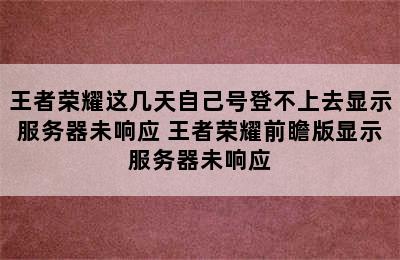 王者荣耀这几天自己号登不上去显示服务器未响应 王者荣耀前瞻版显示服务器未响应